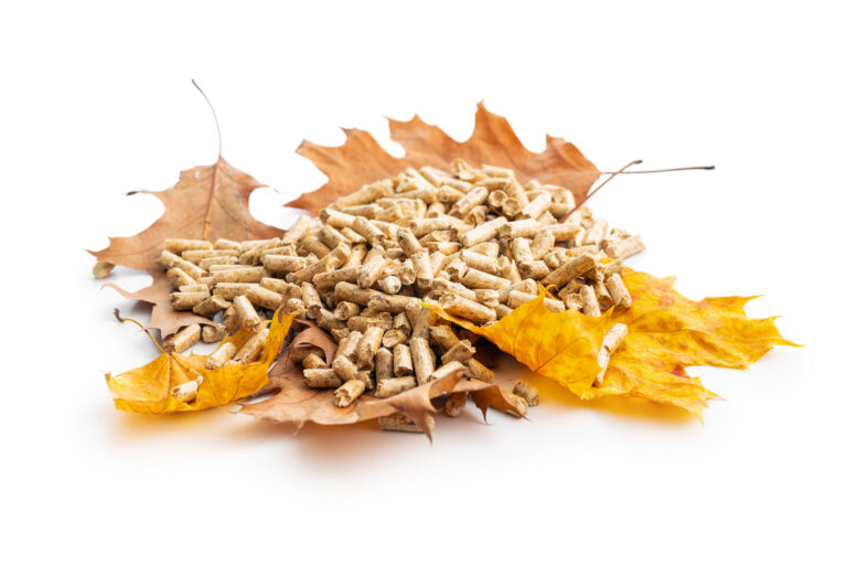 Wooden pellets and autumn leaves isolated on white background
